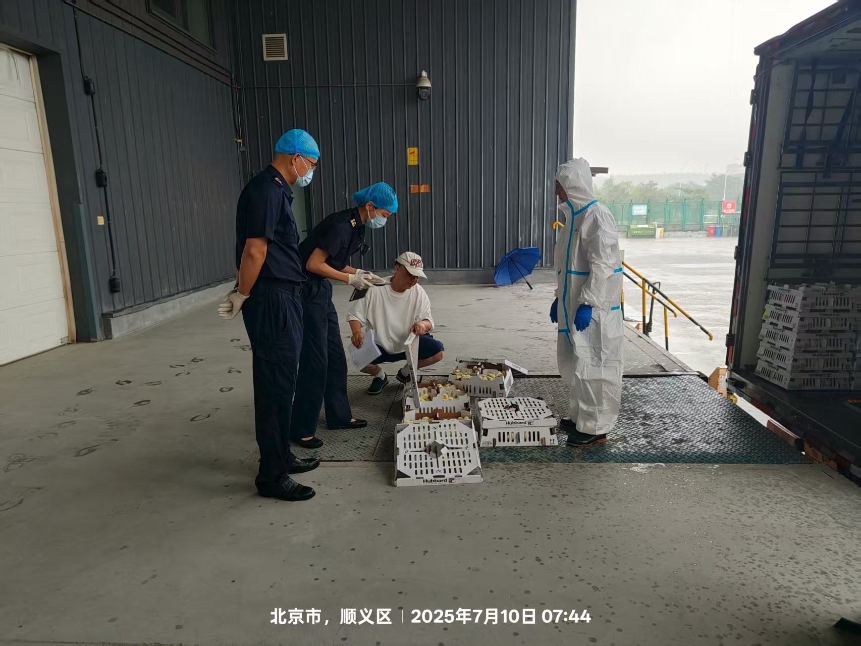 ϲѶʢʢstakeɷݵּ˳뾳