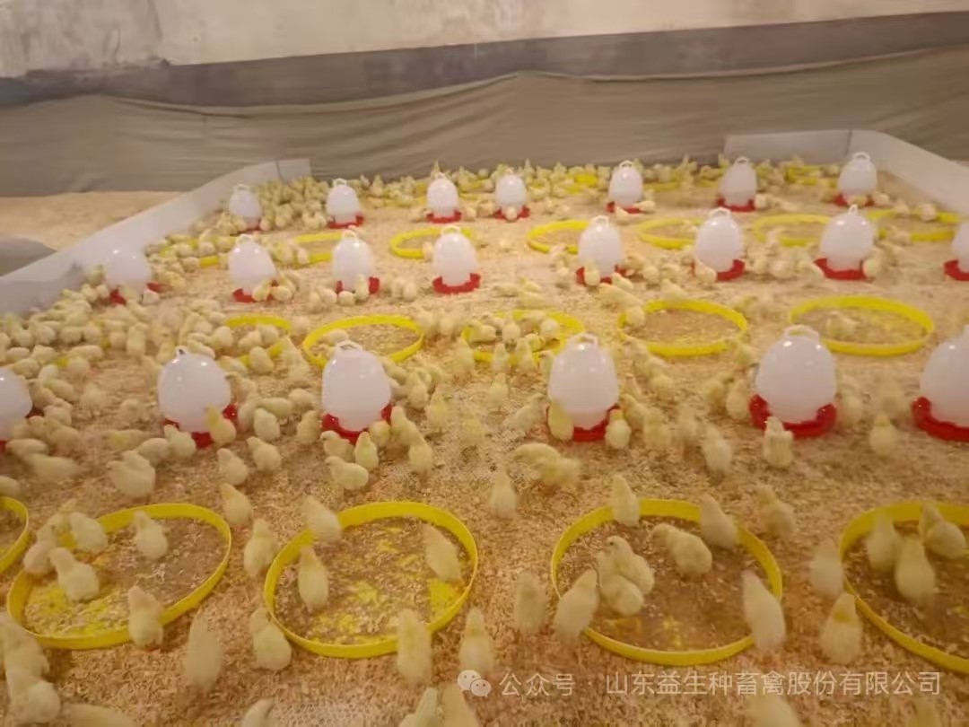 ֡ϲѶstakeɷڵھ˳1.6ֳּ볡